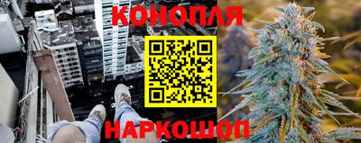 гашик Ипатово