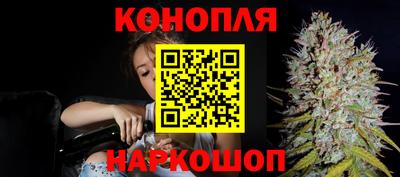 гашик Ирбит