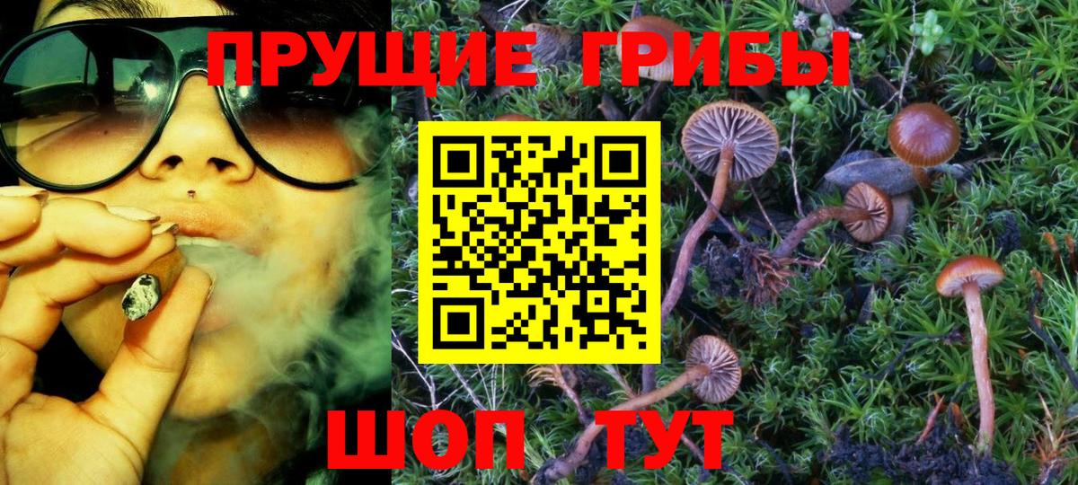 Галлюциногенные грибы ЛСД  Галлюциногенные грибы GOLDEN TEACHER  Елец  Вход с VPN 