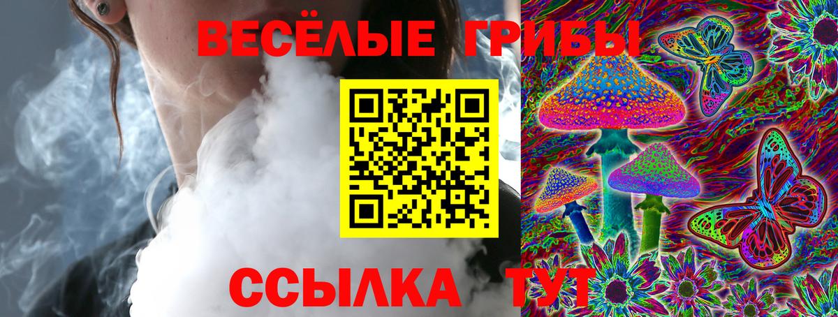 Псилоцибиновые грибы мухоморы Елец